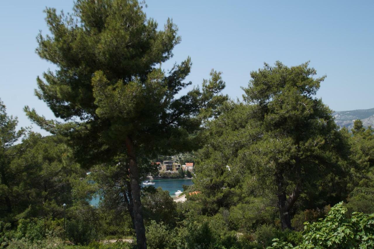 Vita Apartments Zrnovo エクステリア 写真