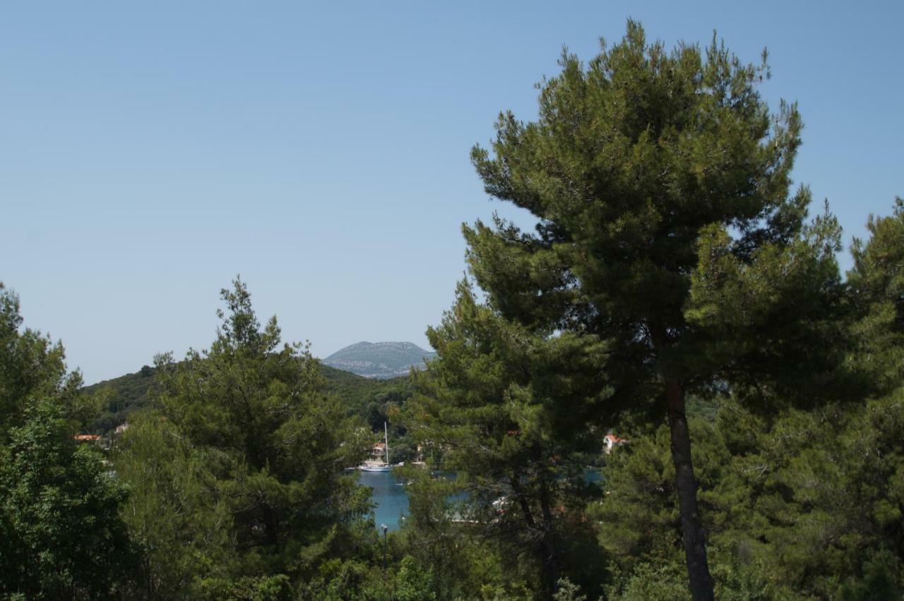 Vita Apartments Zrnovo エクステリア 写真